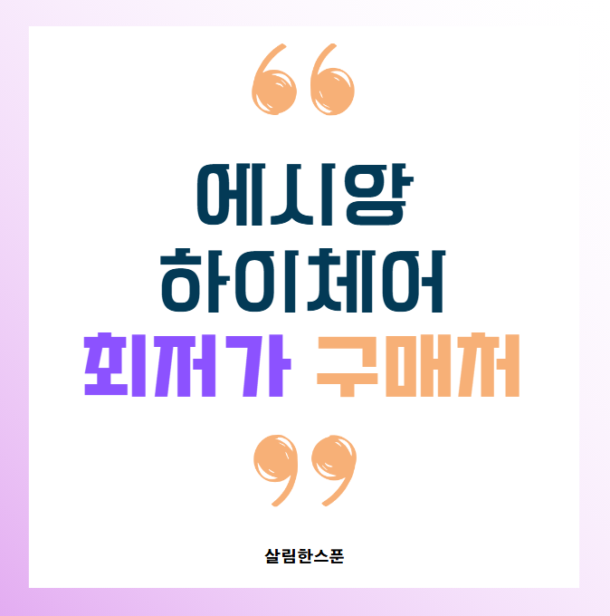 에시앙 하이체어 뉴본 커버 분리 시트 최저가 구매처 대여