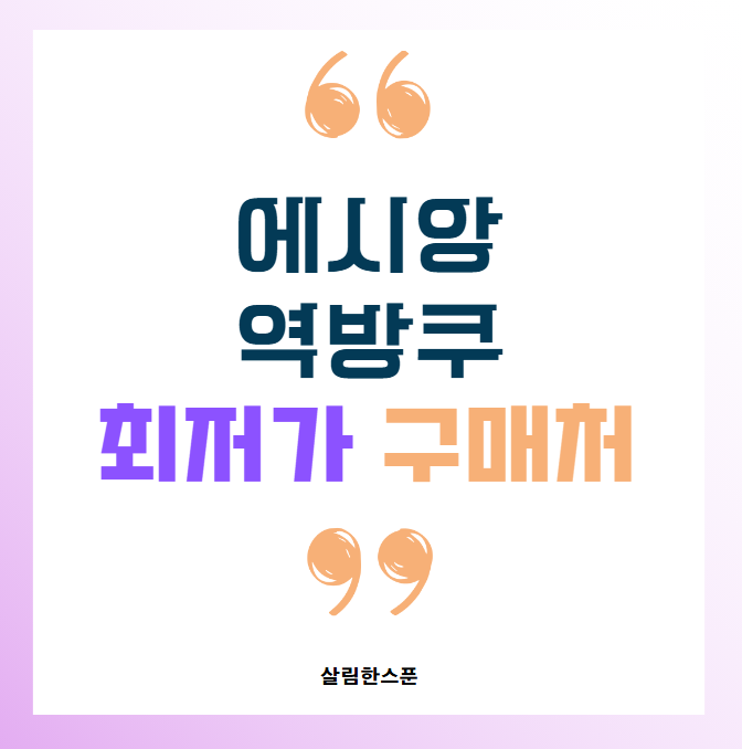 에시앙 역방쿠 역류방지쿠션 세탁 커버 밤잠 최저가 구매처