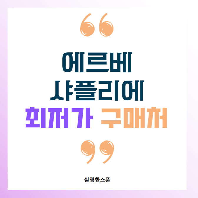 에르베 샤플리에 스몰 도쿄 후쿠오카 가죽 미듐 이너백 최저가 정보
