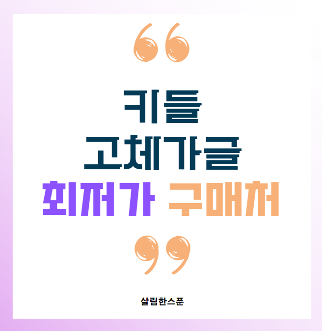 키들 고체가글 내돈내산 정보 최저가 구매처