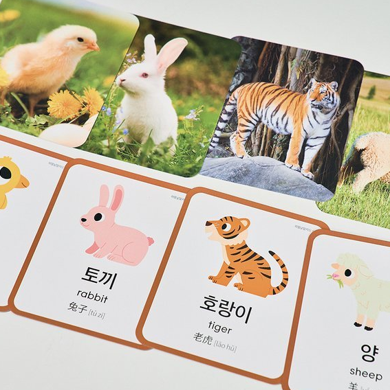 하뚱 낱말카드 바인더 공구 보관 크기 활용 파격세일 할인가 정보